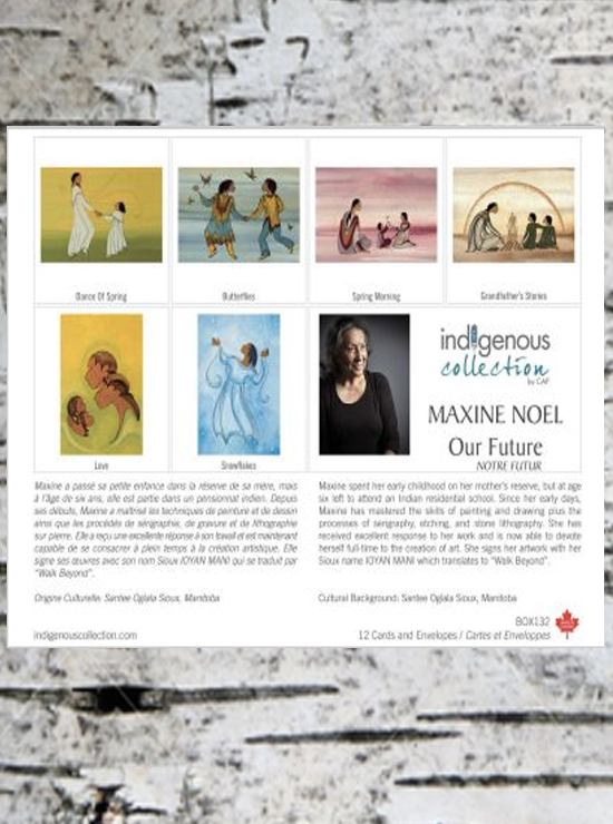 Boxed Notecards from the Indigenous Collection - Assorted Sets