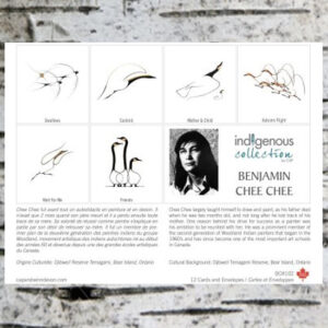 Boxed Notecards from the Indigenous Collection - Assorted Sets