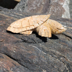 Carving by He Stands by the Sky 4805/124 Turtle