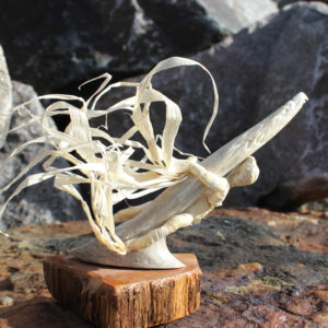 Corn Husk Spirit - Into the Wind by T. Maracle