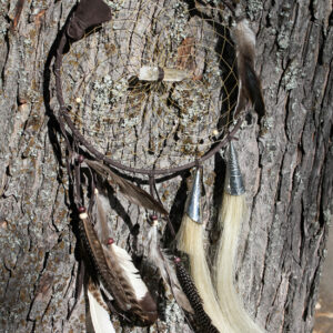 Dreamcatcher with Horse Hair and Crystal - DC94