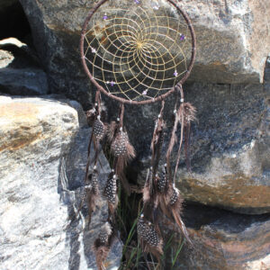 Dreamcatcher with Crystals - DC476/9