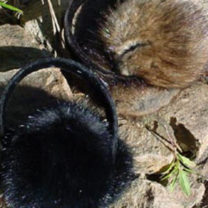 Earmuffs - 401MK Muskrat Fur Black/Brown