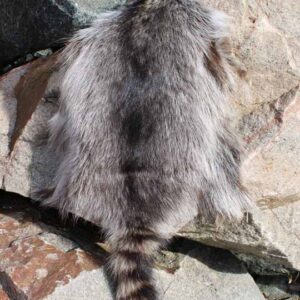 Fur Pelt - Genuine Raccoon