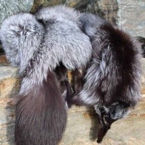 Fur Pelt - Genuine Silver Fox