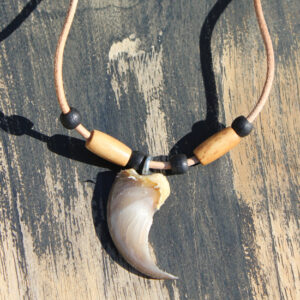 Beaded Necklace with Bear Claw - GH13