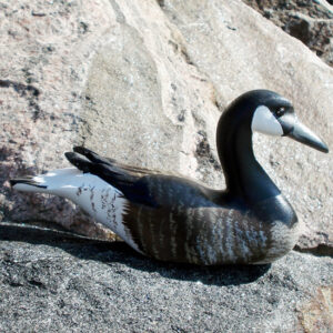Carving by Sculptures Tremblay - Canada Goose 900