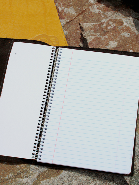 Leather Journals - Eric Parnell Collection