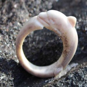 Deer Antler Ring by Richard Parnham - Dolphin