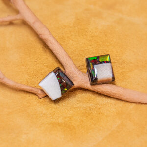 Earrings - Mammoth Ivory/Ammolite DS1 Assorted